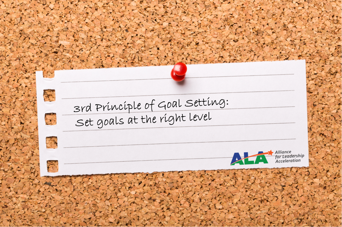 Setting Goals Effectively - Set Goals at the Right Level